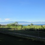 Views of Haiti